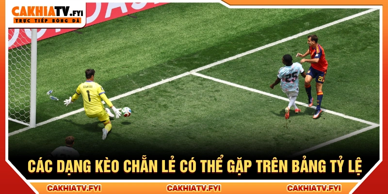 Có nhiều loại kèo chẵn lẻ trên thị trường hiện nay