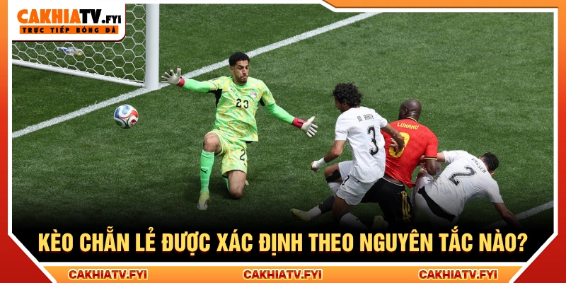 Kèo chẵn lẻ được xác định bằng cách kiểm tra tổng của chỉ số được quy định