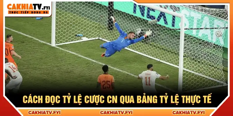Người dùng nên quan sát toàn bộ thông tin trên bảng tỷ lệ