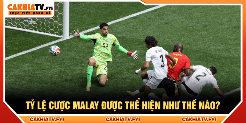 Tỷ lệ cược malay được hiển thị bằng các giá trị âm hoặc dương